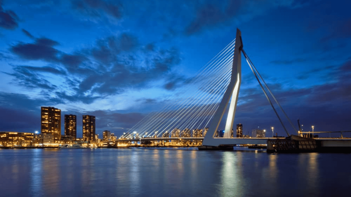 Rotterdam Ecosystem